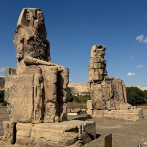 Отзыв от Софья Рожнова